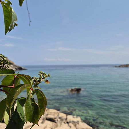 Beach Apartment PalaiónTsiflíkion Екстериор снимка