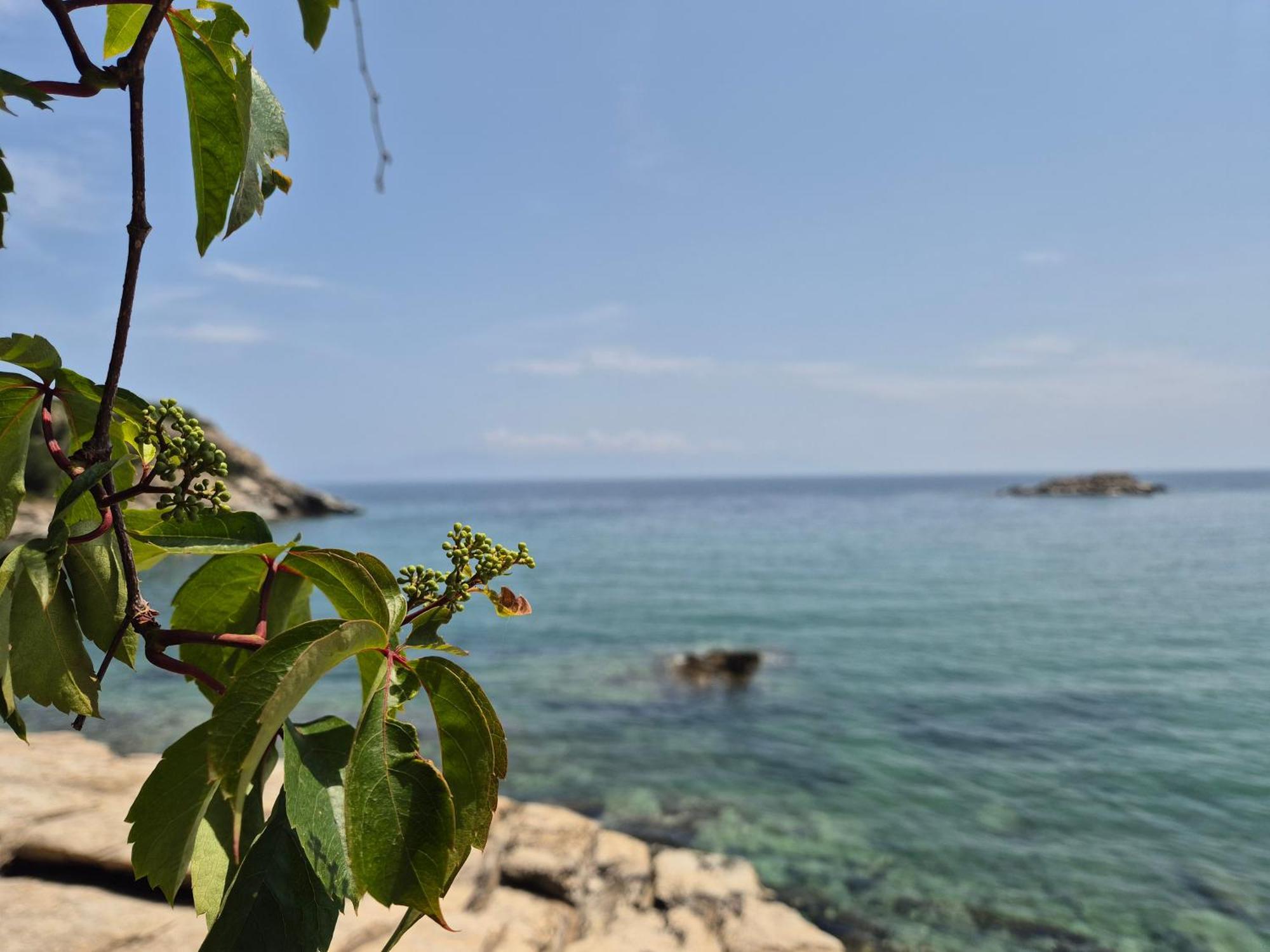 Beach Apartment PalaiónTsiflíkion Екстериор снимка